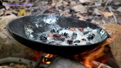 CATCH INSECT ON TREE FOR FOOD!