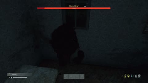 Killing a bear with my bare hands in dayz