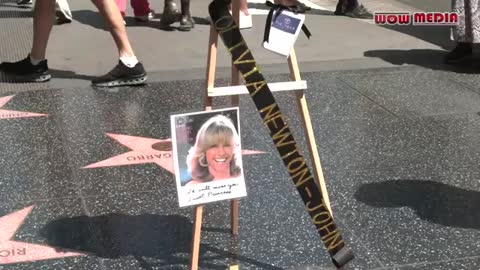 Flowers Placed On Olivia Newton-John Hollywood Walk Of Fame Star