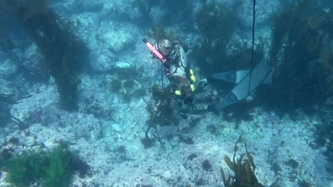 Spearfishing with Matt and Alex - Big Sur