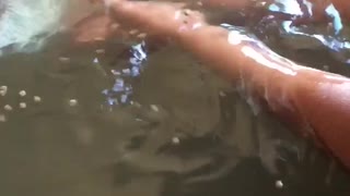 Man Makes Friends with Fish