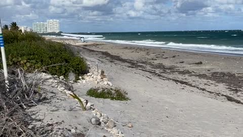 Small Plane Makes Emergency Landing on South Florida Beach