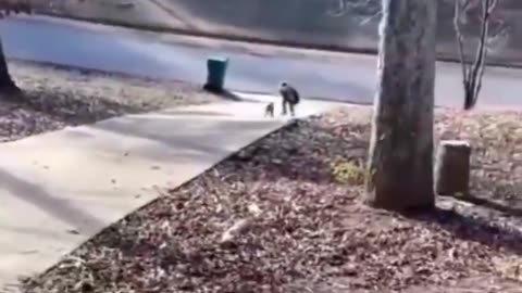 Pawsitively Overjoyed: Dog's Delight as Master's Kid Comes Home!
