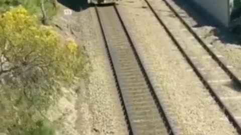 Dog almost got crushed by a train most watched