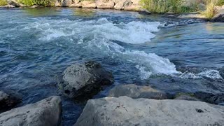 Floating the river