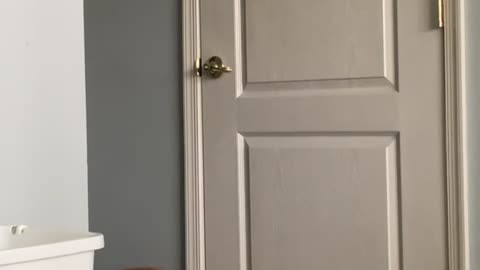 Kitty Can't Get Past Child Proof Door Handle