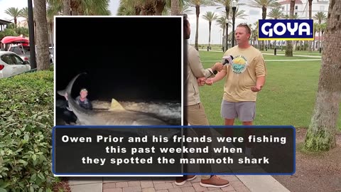 Florida fisherman catches massive tiger shark