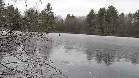 Rocks Bouncing On Frozen Pond Make Most Peculiar Sounds