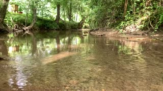 Tranquil Creek Therapy