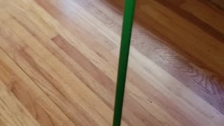 Magnetic pull keeping broom up