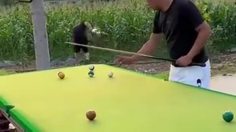 Funny Billiard Video