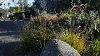 Logan Botanic Gardens