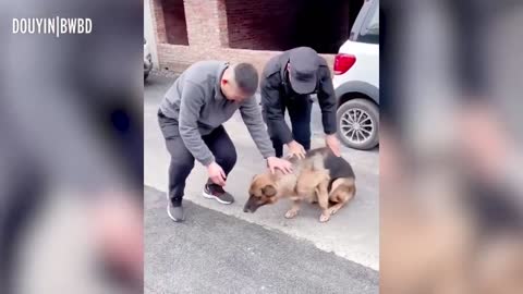 Police Dog 'Cries' After Reuniting With Handler She Hasn't Seen For Years