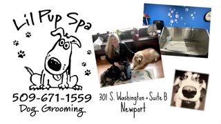 Lil Pup Spa