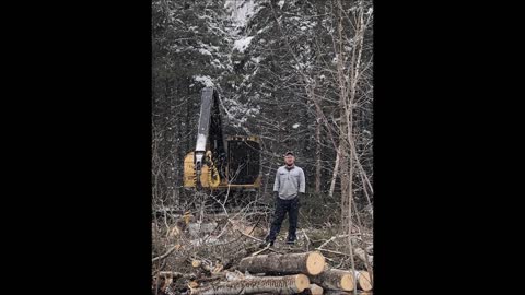 King's Logging & Tree Service - (715) 206-0239