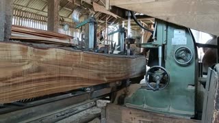 This Is The Process Of Splitting Akaisa Wood At The Sawmill