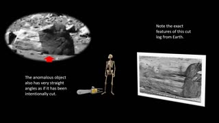 Are Lumberjacks on Mars? Mars Rover Finds Log on the Surface of Mars?