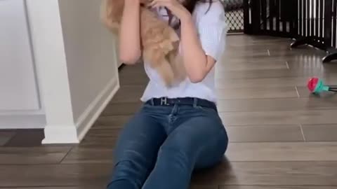 Look at the dog's reaction!