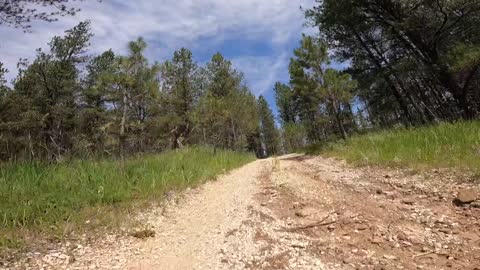 82" non-width restricted Trail 336.1D Haselrodt area Black Hills National Forest South Dakota