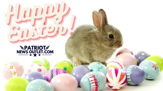 Happy Easter From Your Friends At Patriot News Outlet!