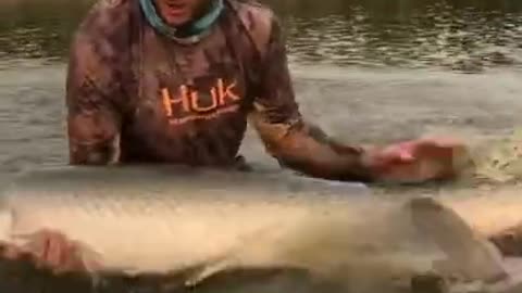 Top viral fish fishing Amazing fish video ,fishing video TIK TOK 21