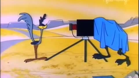 Wile E. Coyote And Road Runner episode 15