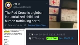 The Red Cross is a global industrialized child and human trafficking cartel.