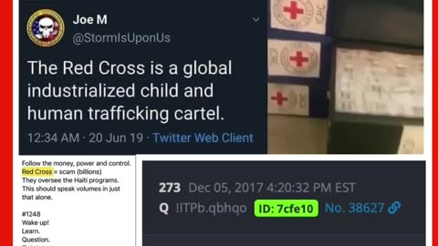 The Red Cross is a global industrialized child and human trafficking cartel.