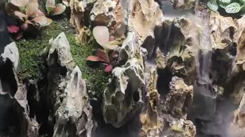 rockery in fish tank