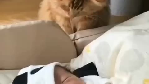 Cat to the owner's son blows the fly away from his hands.😲😲