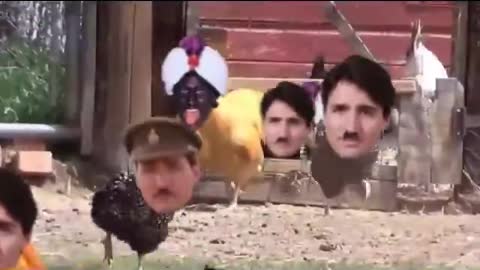 Blackface Hitler Trudeau Chicken Farm