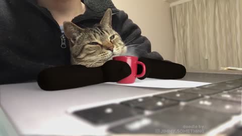 Cute Cat Working on Laptop
