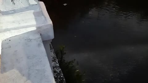 Reportan filtraciones de agua en el puente Jiménez