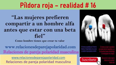 Pildora Roja – realidad #16