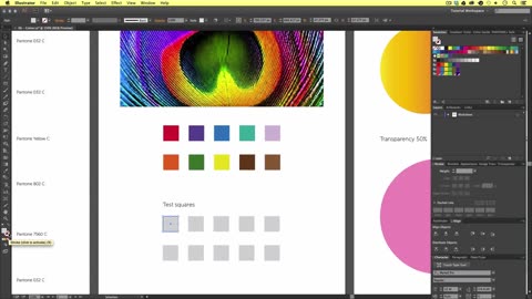 Using Colour | Swatches | Pantone's | Gradients & more Ep6/19 [Adobe Illustrator for Beginners]