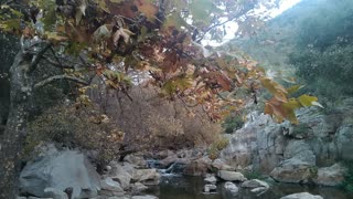 Beautiful Creek in San Diego