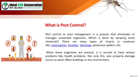 Best Pest Control Company in Indore – Ideal ASR Corporation