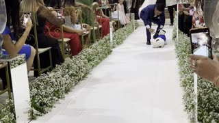 Most Beautiful Ring Bearer in Brazil