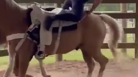 Horse Chick Horse Ride Accident