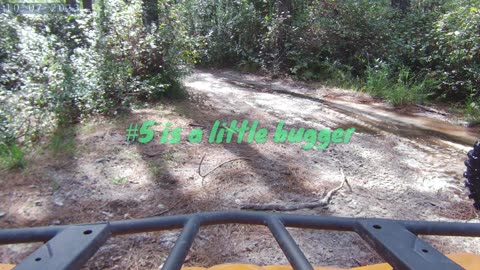 ATV Frog Hunt in the Swamp