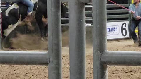 Bull goes crazy at RGV bull riding event