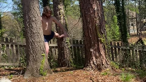 How to get high on TREES