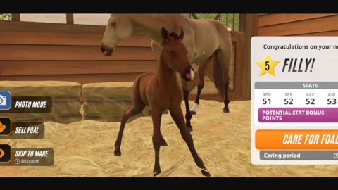 Rival Stars Horse Racing - free roam, three foals, and rose wheel