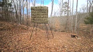 Building a Hunting Blind in the Woods