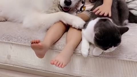 Fluffy Cloud Meets Kitty Friend