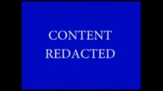 'Sandy Hook Final Report - A Completely Redacted Joke Censored Bull' - 2013