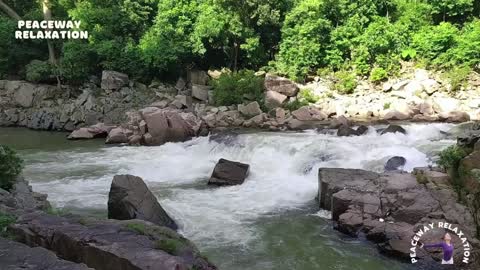 Beautiful River Stream Sounds | Calm The Mind