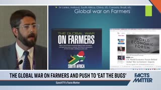 UN: Let Them Eat Bugs!