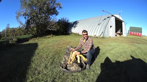 Waterfowl Hunting Tip - Stumbling a Blind with Rafia Grass