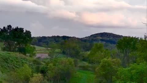 Arial Landscape Green Field